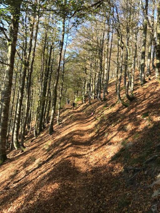 La Magie Entre Deux Lacs Gérardmer Екстериор снимка