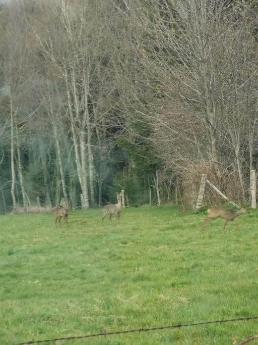 La Magie Entre Deux Lacs Gérardmer Екстериор снимка