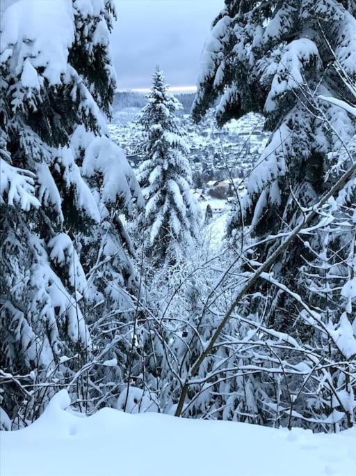 La Magie Entre Deux Lacs Gérardmer Екстериор снимка