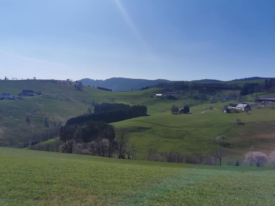 La Magie Entre Deux Lacs Gérardmer Екстериор снимка