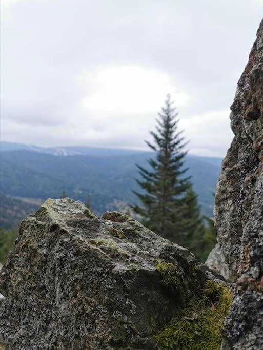 La Magie Entre Deux Lacs Gérardmer Екстериор снимка